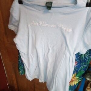 Wild Fable Light Blue T-Shirt